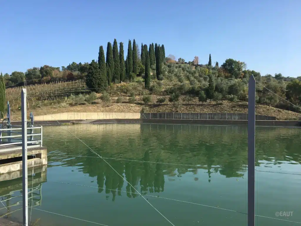 1vasca di compenso.webp